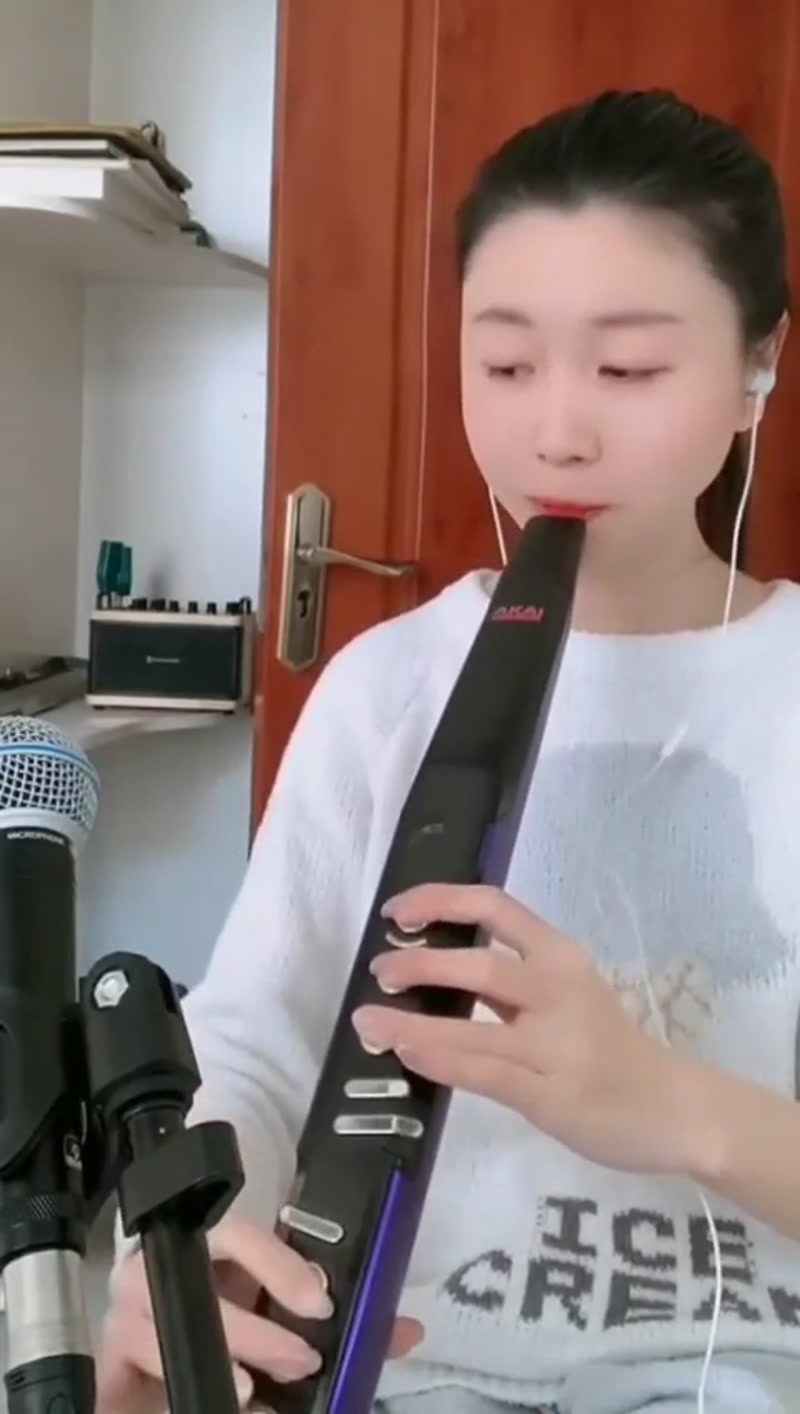 电子管乐器(电吹管)表演(一) 演出截帧